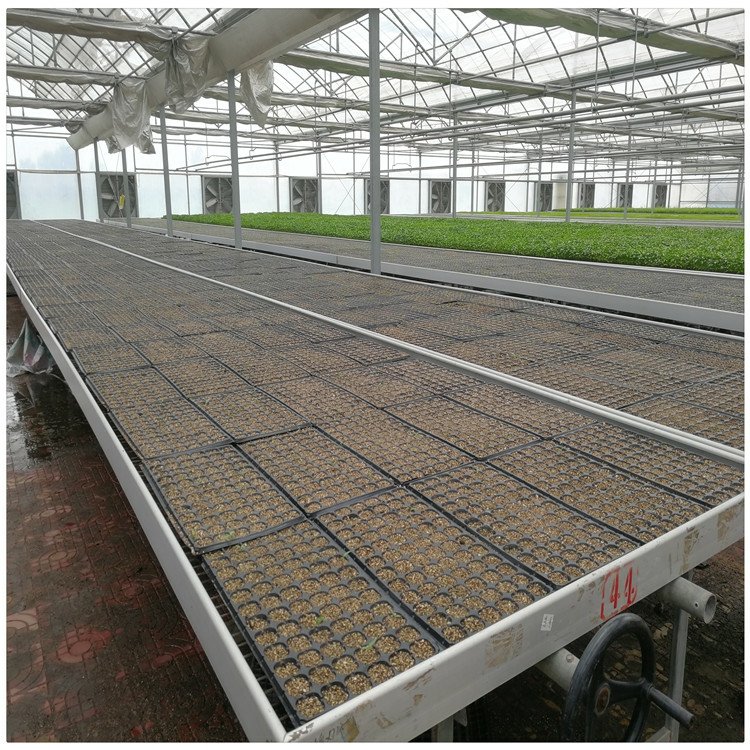 Hot Sale Greenhouse Steel Rolling Benches for Commercial Agriculture Farming