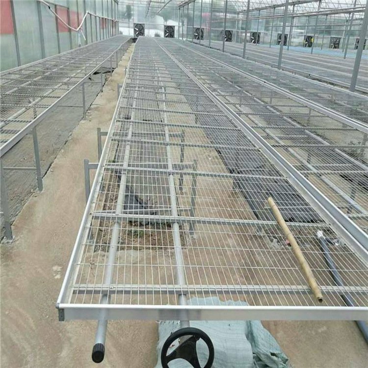 Hot Sale Greenhouse Steel Rolling Benches for Commercial Agriculture Farming