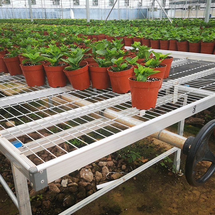 Hot Sale Greenhouse Steel Rolling Benches for Commercial Agriculture Farming
