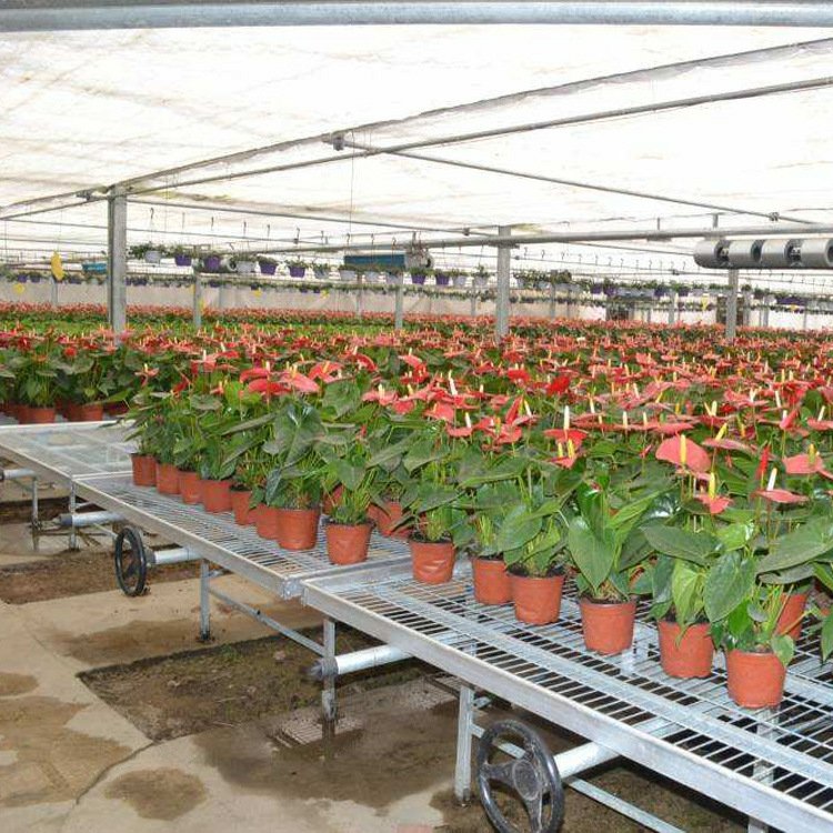 Hot Sale Greenhouse Steel Rolling Benches for Commercial Agriculture Farming