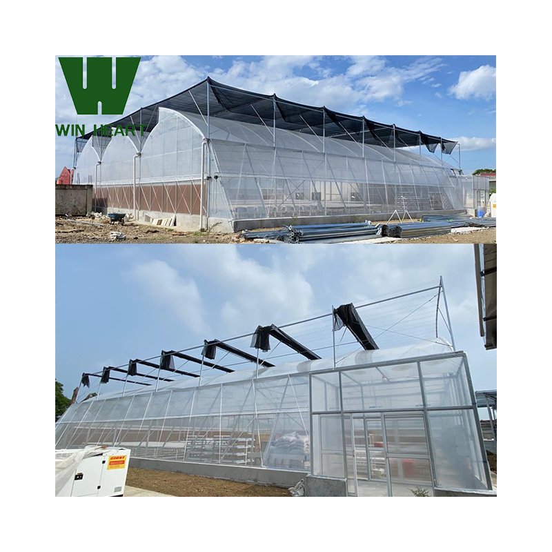 Tropical agriculture greenhouse with roof venting Tunneling greenhouses