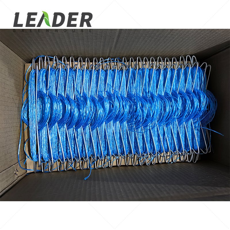 Tomato/Cucumber Plant Timely Delivery Quick Installed 22mm High Wire Tomato Hook With Polypropylene/Biodegradable Tope/Twine