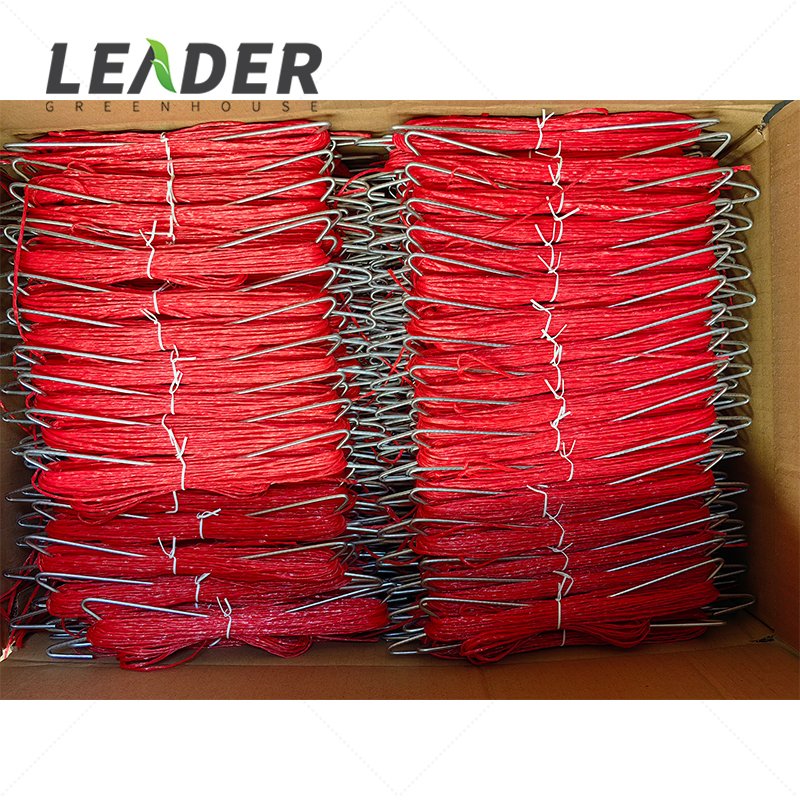 Tomato/Cucumber Plant Timely Delivery Quick Installed 22mm High Wire Tomato Hook With Polypropylene/Biodegradable Tope/Twine