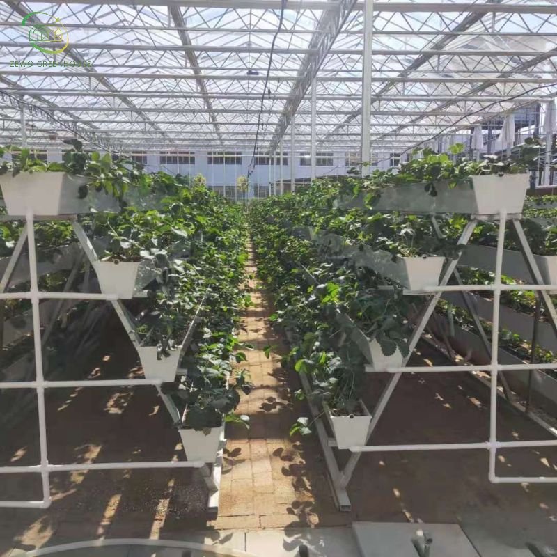 Hydroponics Farm Greenhouse Hydroponic Drip Irrigation System Multi-span Green House