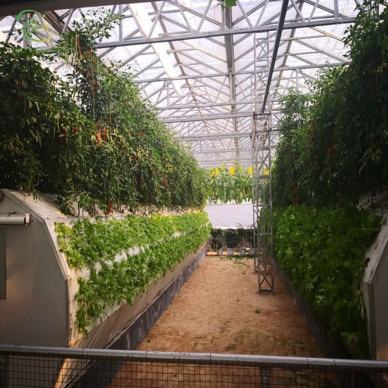 Hydroponics Farm Greenhouse Hydroponic Drip Irrigation System Multi-span Green House