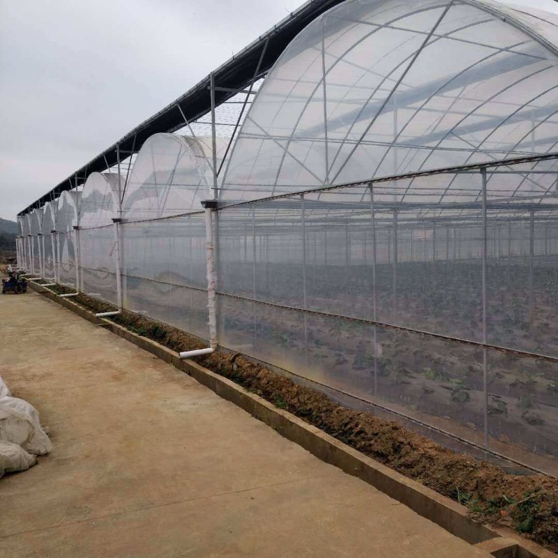 Hydroponics Farm Greenhouse Hydroponic Drip Irrigation System Multi-span Green House