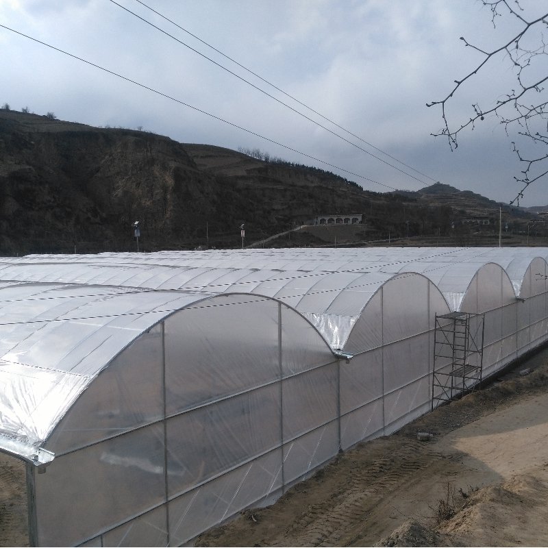 Hydroponics Farm Greenhouse Hydroponic Drip Irrigation System Multi-span Green House
