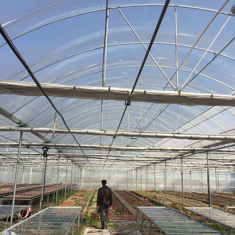 Best Selling Commercial Agricultural Greenhouses Quality System Greenhouse for Worldwide Exported Cultivation