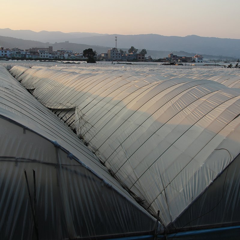 Best Selling Commercial Agricultural Greenhouses Quality System Greenhouse for Worldwide Exported Cultivation