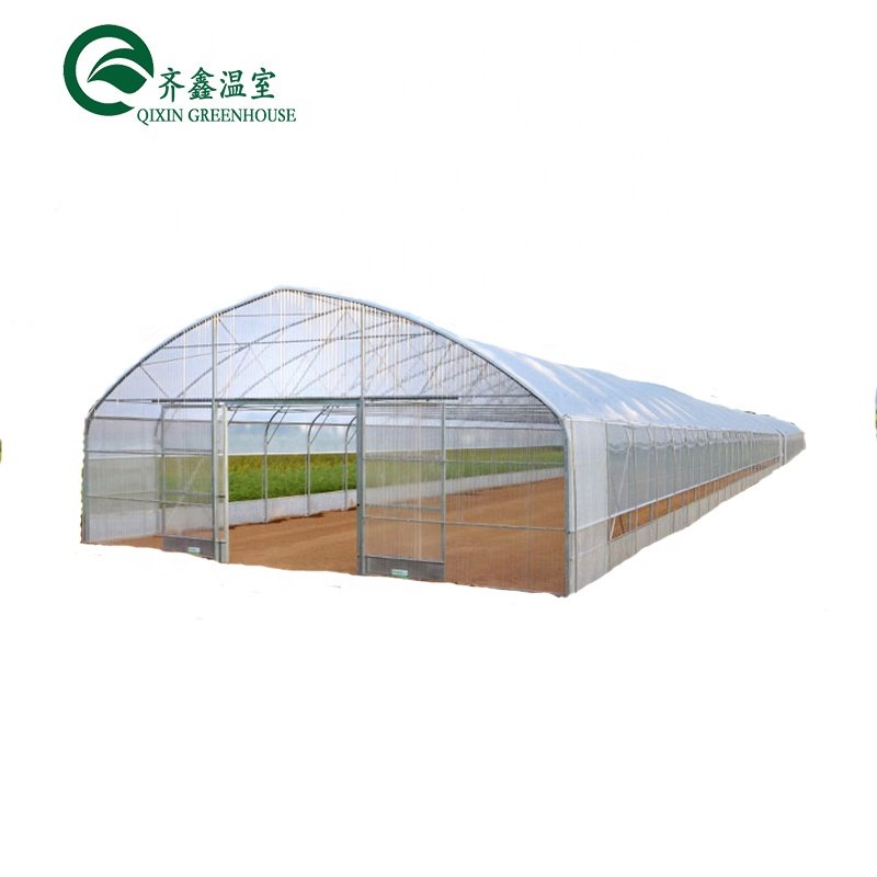 Low cost agriculture tunnel plastic greenhouse polyhouse for vegetable