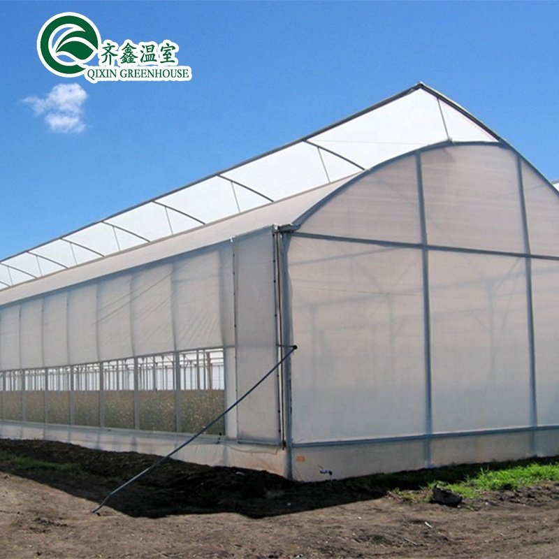 Low cost agriculture tunnel plastic greenhouse polyhouse for vegetable