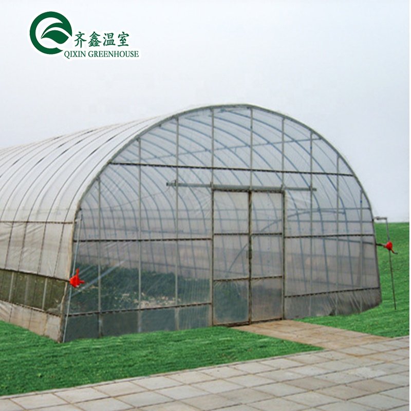 Low cost agriculture tunnel plastic greenhouse polyhouse for vegetable