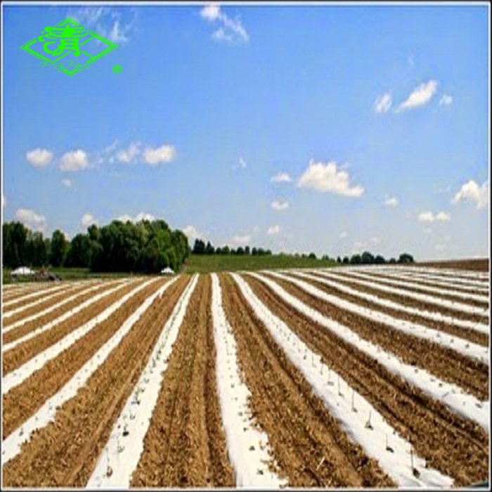 Anti-UV Biodegradable Plastic Mulch Film for Agriculture
