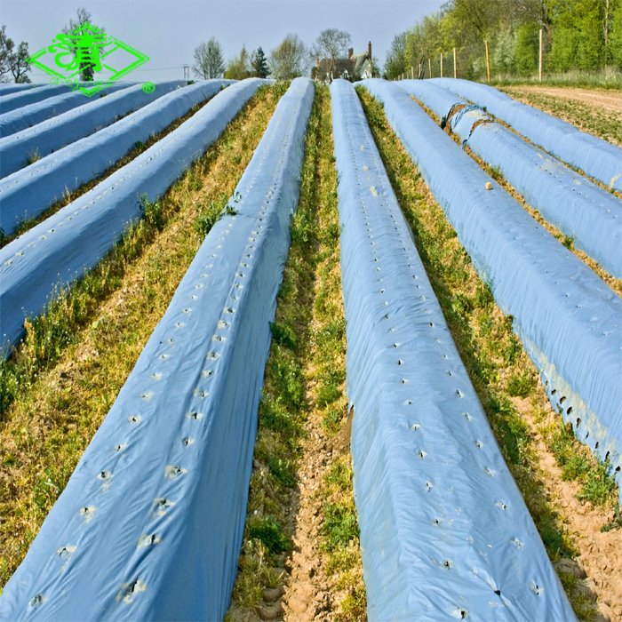 Anti-UV Biodegradable Plastic Mulch Film for Agriculture