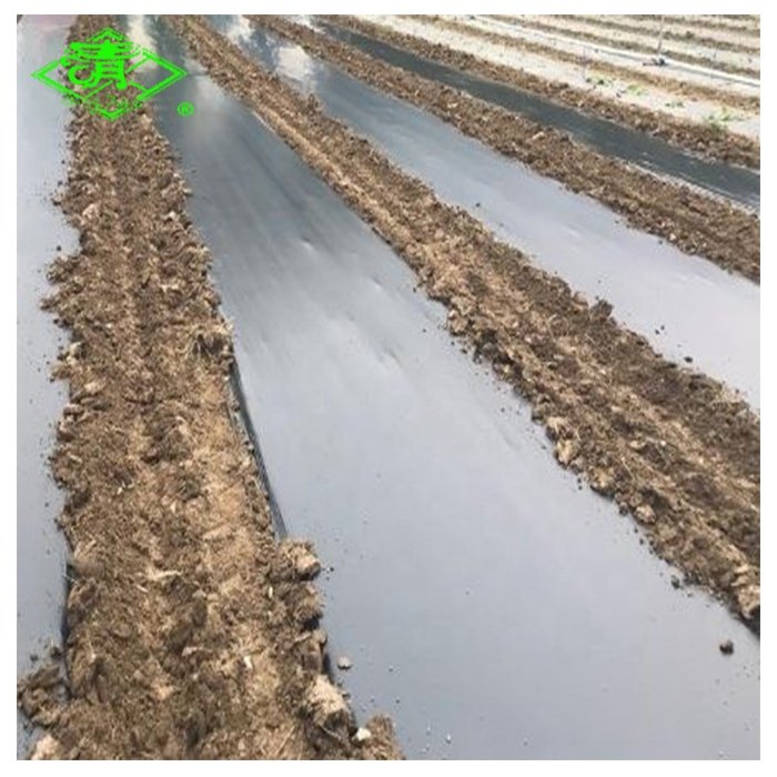 Anti-UV Biodegradable Plastic Mulch Film for Agriculture