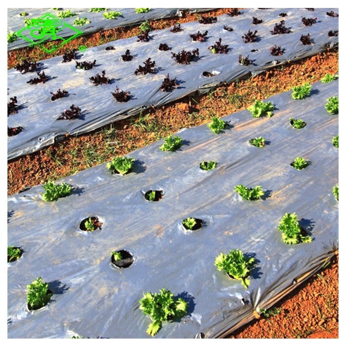 Anti-UV Biodegradable Plastic Mulch Film for Agriculture