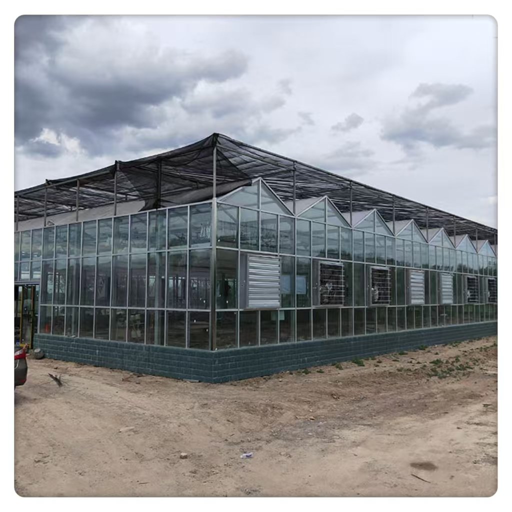 Wholesale China Large Steel Framework Tunnel Agriculture Greenhouse Square Pattern Plant High Quality Large Glass Greenhouse