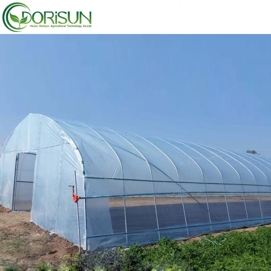 Commercial industrial other greenhouses single span high tunnel tomato plastic agricultural greenhouse