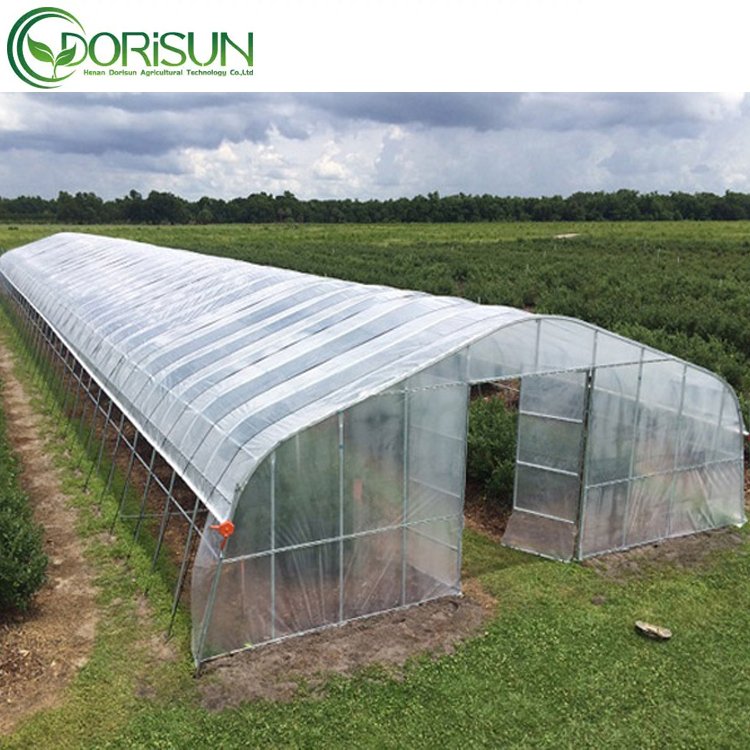 Commercial industrial other greenhouses single span high tunnel tomato plastic agricultural greenhouse