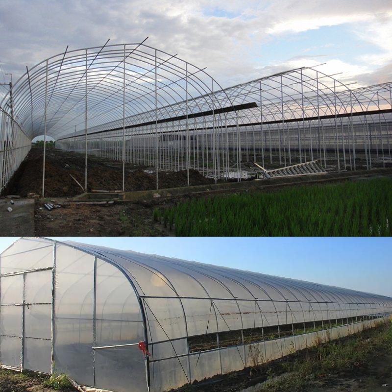 Commercial industrial other greenhouses single span high tunnel tomato plastic agricultural greenhouse