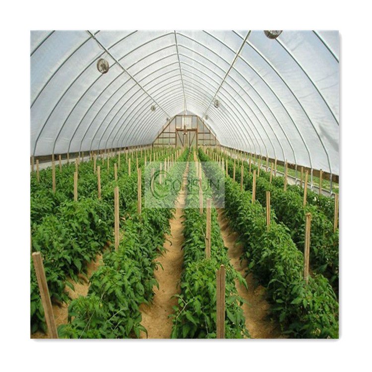 Commercial industrial other greenhouses single span high tunnel tomato plastic agricultural greenhouse