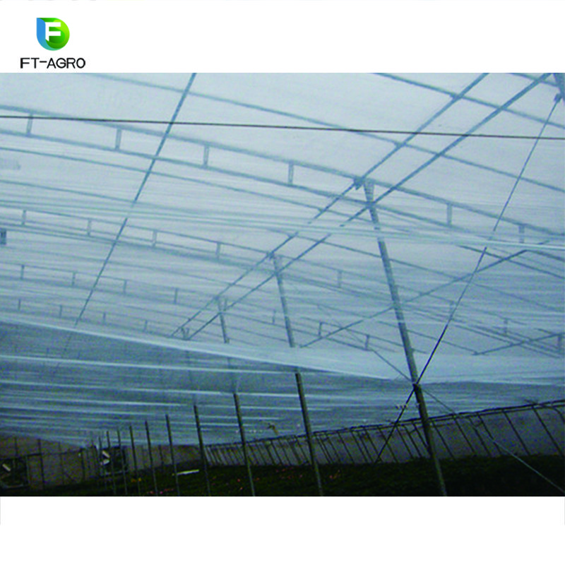 Customized Large Span Commercial sunlight Greenhouse For Agriculture