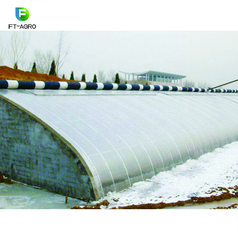 Customized Large Span Commercial sunlight Greenhouse For Agriculture