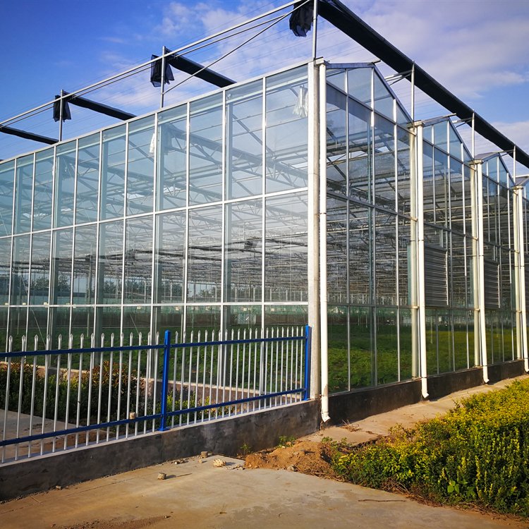 Hot Selling Low Price Multi Span PC Glass Greenhouses
