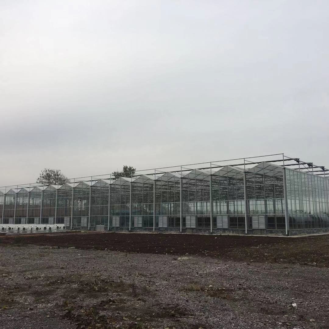 Hot Selling Low Price Multi Span PC Glass Greenhouses