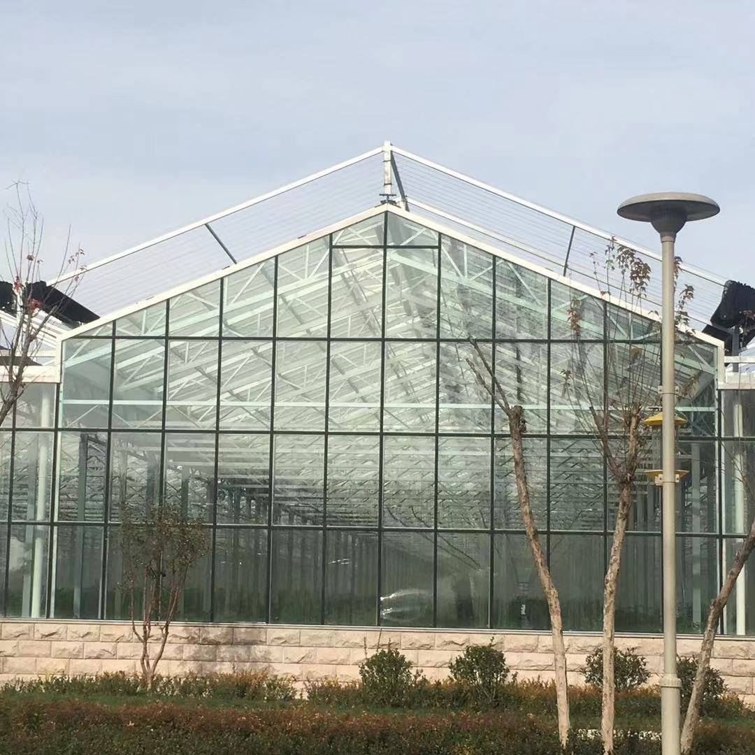 Hot Selling Low Price Multi Span PC Glass Greenhouses