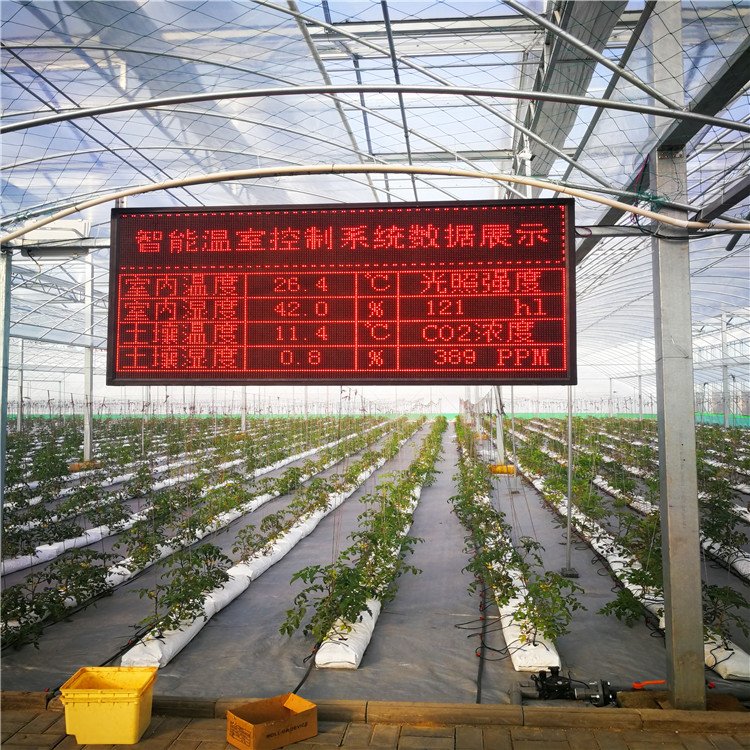 Hot Selling Low Price Multi Span PC Glass Greenhouses