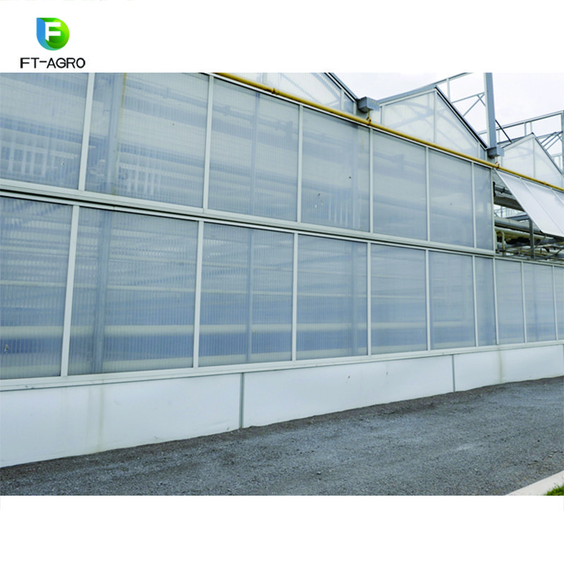 PC greenhouses china custom green house for planting