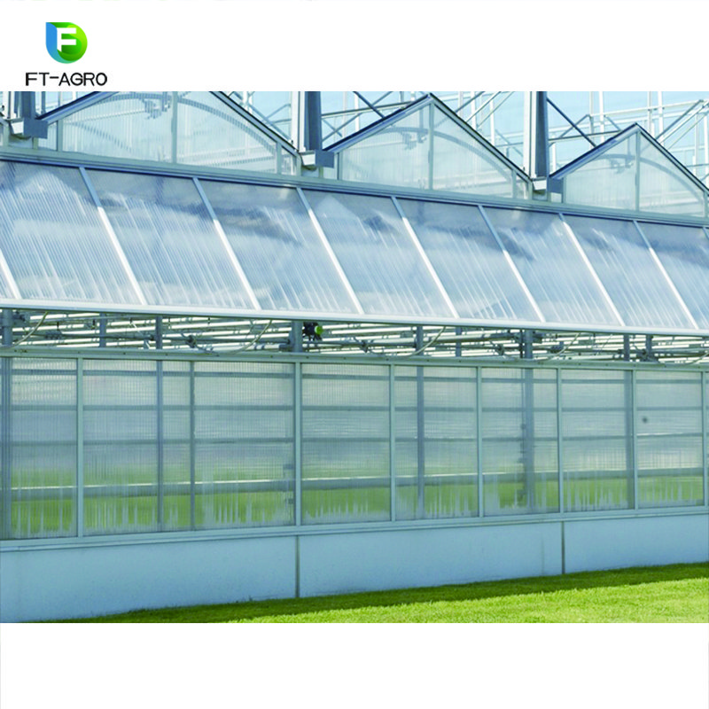 PC greenhouses china custom green house for planting