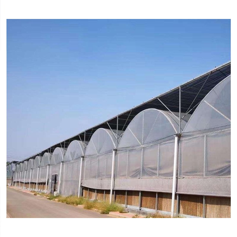 JINXIN Multi Span Po/ PE Film Agricultural Greenhouse with Hydroponics Aquaponics System