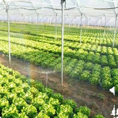 JINXIN Multi Span Po/ PE Film Agricultural Greenhouse with Hydroponics Aquaponics System