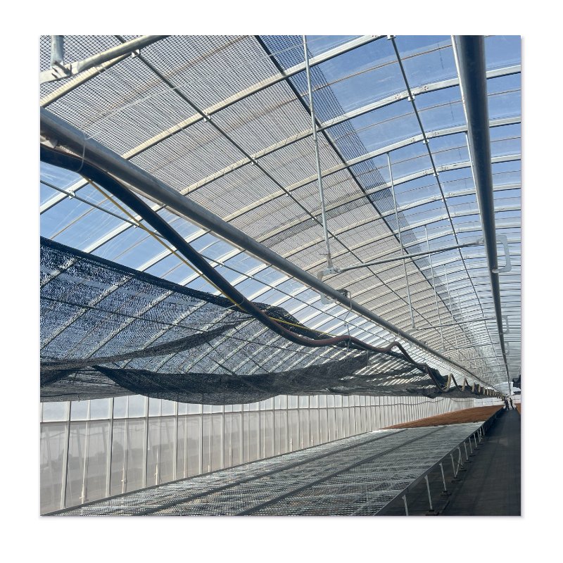 JINXIN Multi Span Po/ PE Film Agricultural Greenhouse with Hydroponics Aquaponics System
