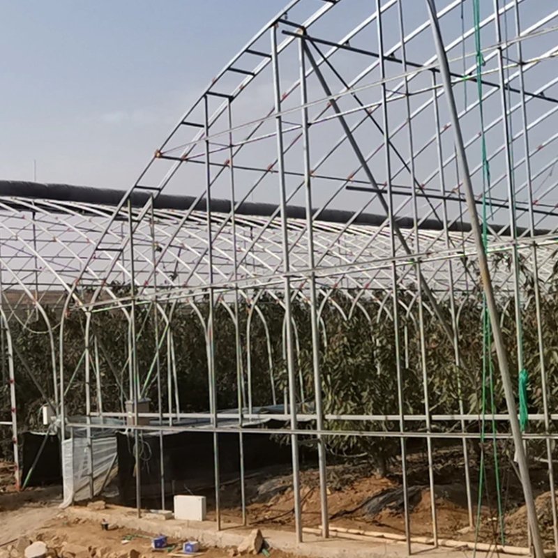 Film Large Arch Plastic Greenhouse for Sale Plant Growth Large Professional Agricultural Greenhouse Free Provided Double Layer