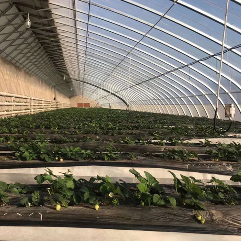 Film Large Arch Plastic Greenhouse for Sale Plant Growth Large Professional Agricultural Greenhouse Free Provided Double Layer