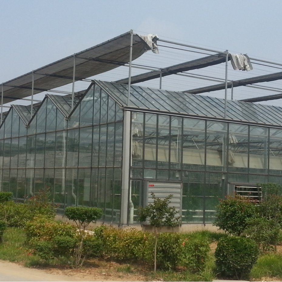 Tempered Fiberglass Greenhouse Multi Span Venlo Greenhouse Climate Control Greenhouse For Sale
