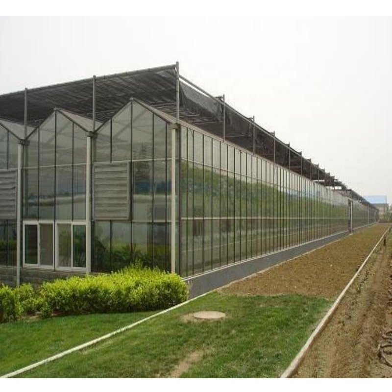 Tempered Fiberglass Greenhouse Multi Span Venlo Greenhouse Climate Control Greenhouse For Sale