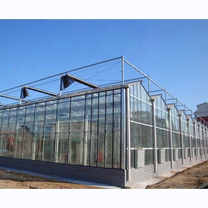 Tempered Fiberglass Greenhouse Multi Span Venlo Greenhouse Climate Control Greenhouse For Sale
