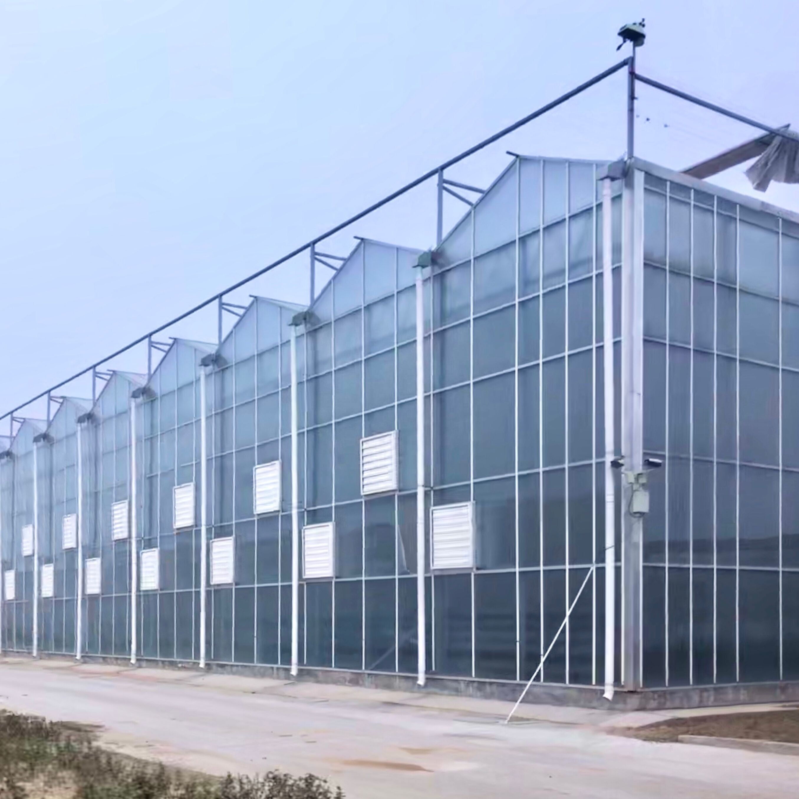 Tempered Fiberglass Greenhouse Multi Span Venlo Greenhouse Climate Control Greenhouse For Sale