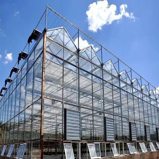 Multi-span Agricultural Glass Victorian Green House For Sale