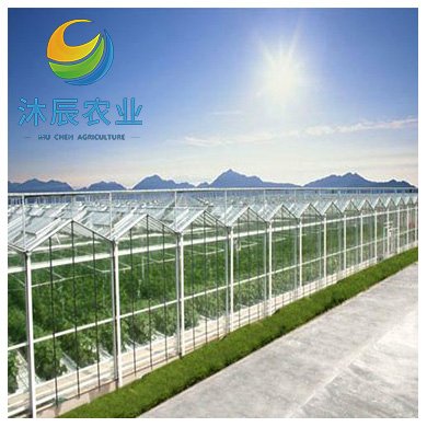 Multi-span Agricultural Glass Victorian Green House For Sale