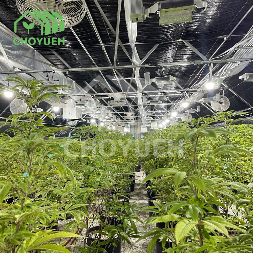 CHOYUEH A customized production facility in China offers blackout greenhouses tailored for herbs in low-light conditions
