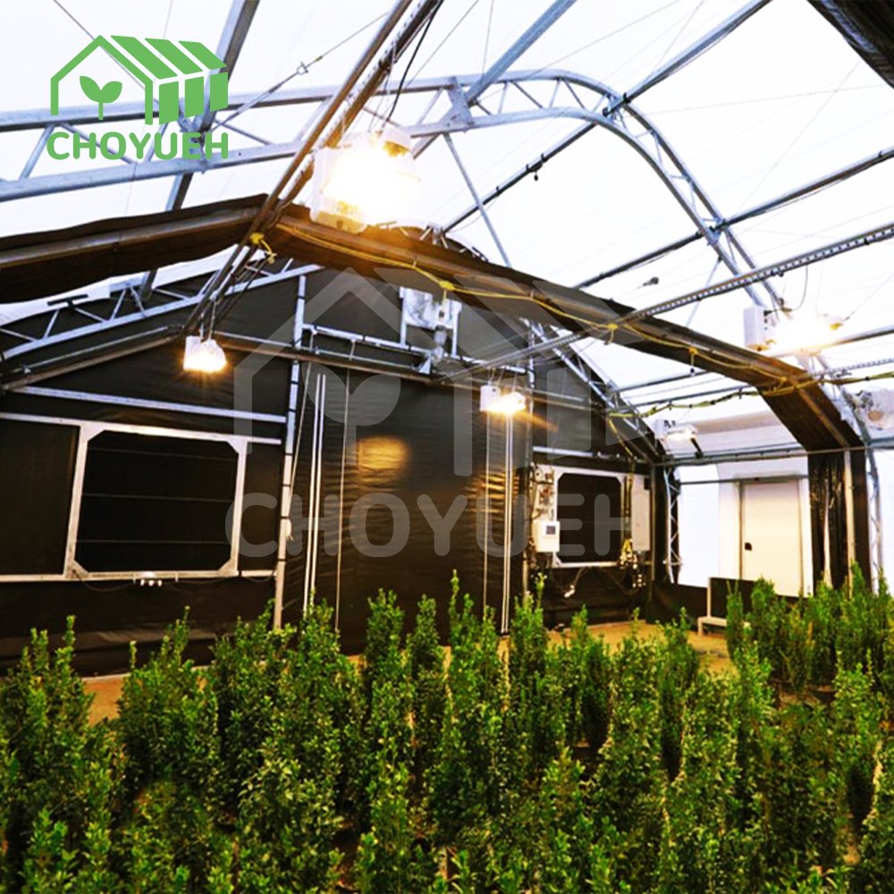 CHOYUEH A customized production facility in China offers blackout greenhouses tailored for herbs in low-light conditions