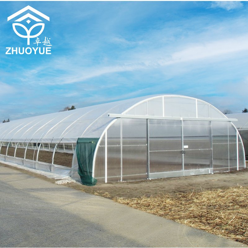 CHOYUEH Walk-in Polycarbonate Greenhouse with Roof Vent manufacturing greenhouse kit