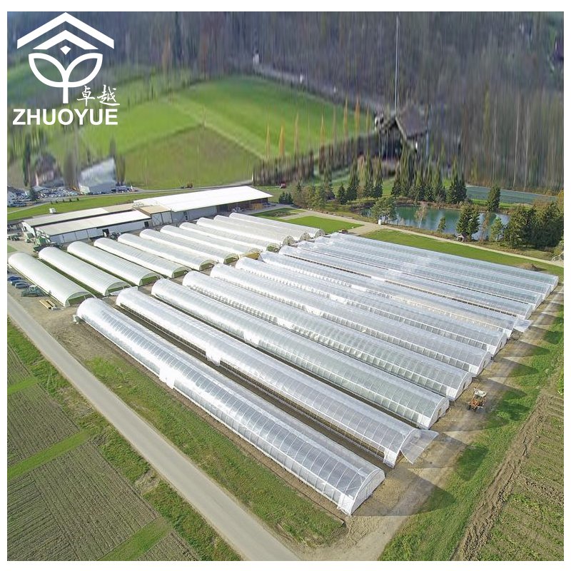 CHOYUEH Walk-in Polycarbonate Greenhouse with Roof Vent manufacturing greenhouse kit