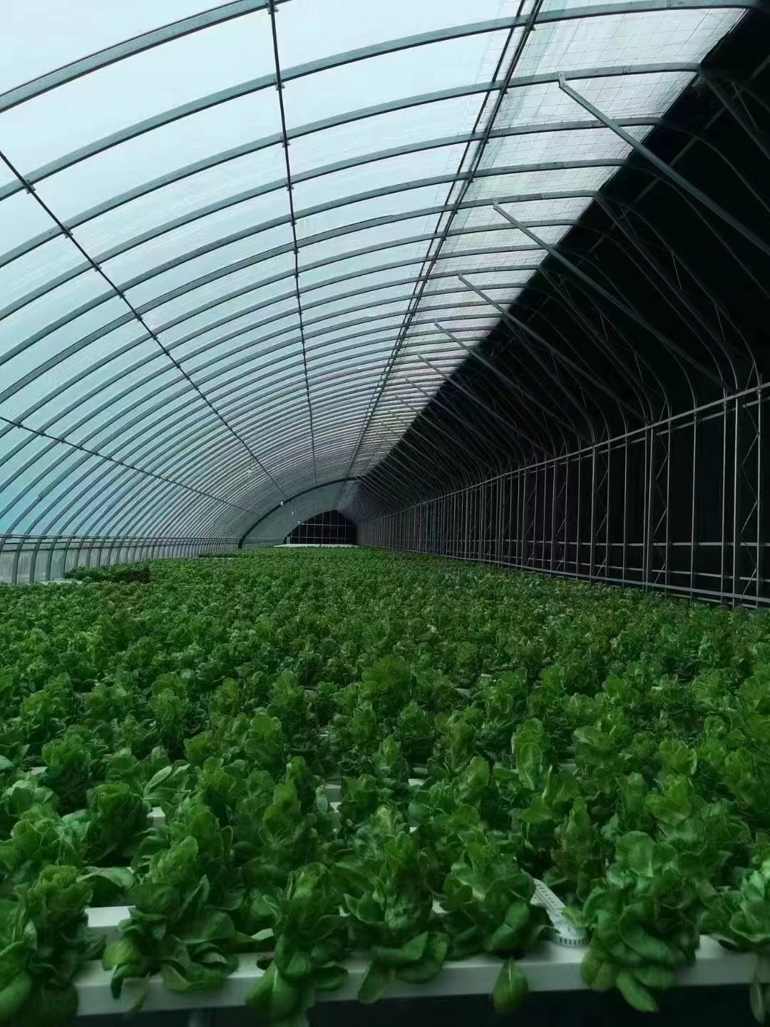 Low Cost 9x30m Green House Frame Green Plastic Film high tunnel greenhouses steel frame for sale