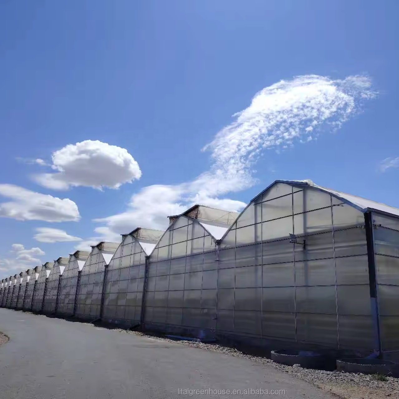 Cheap Price Strawberry Insultaion with Multi-span Tomato Agricultural Film Roof Ventilation Plants Growing Low Cost High Output